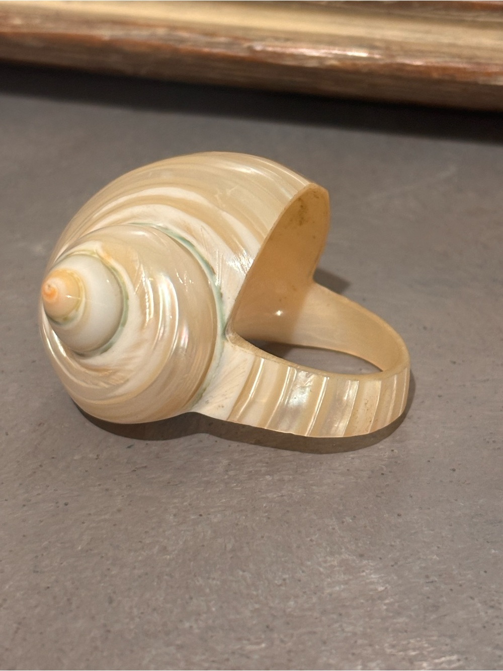 Nautilus shell ring